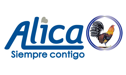 ALICA